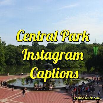 Central Park Instagram Captions