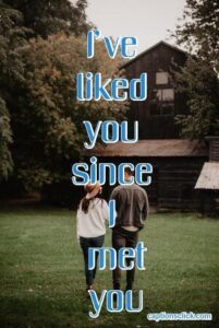 142+Best Crush Captions For Instagram-Funny Cute Him & Her Bio Quotes