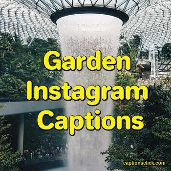 Garden Captions For Instagram