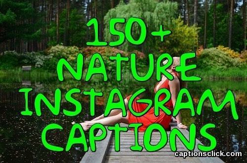 151 Best Nature Captions For Instagram, Funny Landscape Captions For Instagram