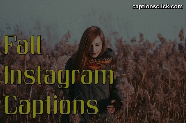 Fall Instagram Captions