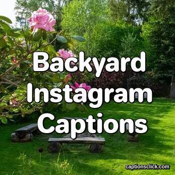 Captions For Backyard Picnics