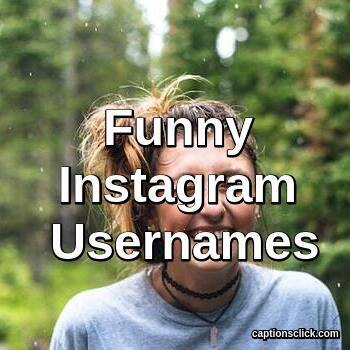 200+Funny Instagram Usernames Ideas-Funniest 2023 - Captions Click
