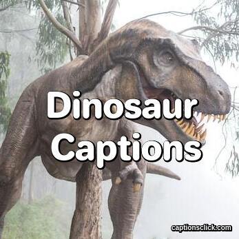 Dinosaur Captions