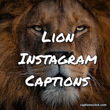 Funny Lion Captions For Instagram
