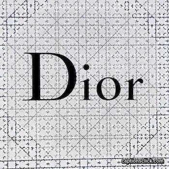 Dior Captions
